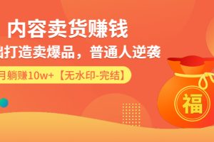 内容卖货赚钱：0基础打造卖爆品，普通人逆袭，每月躺赚10w+【完结-附素材】