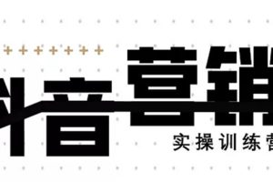 《12天线上抖音营销实操训练营》通过框架布局实现自动化引流变现（无水印）