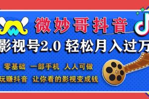 抖音影视号2.0：0基础一部手机玩赚抖音，轻松月入3万（无水印）