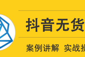 顽石电商低投入高回报抖音无货源实战教程