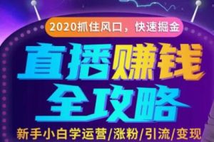 轻松月入10万+的直播赚钱攻略，教你涨粉/引流/带货/变现