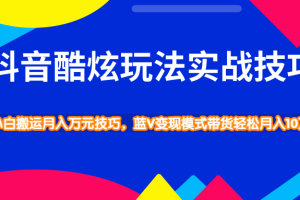 抖音酷炫玩法蓝V变现模式带货实战技巧，小白搬运轻松月入10W