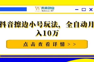 抖音擦边小号玩法，全自动月入10万