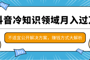 抖音月入过万的冷知识领域项目，抖音赚钱方式大解析，不适宜公开解决方案