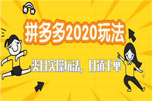 拼多多2020最新类目实操玩法教程 玩转直通车轻松操作到日销千单爆款