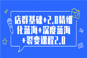 孤狼电商店群全套教程：店群基础+2.0精细化蓝海+深度蓝海+裂变课程2.0