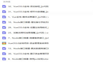 VueCli3.0全栈项目-资金管理系统带权限(node/element/vue)视频教程