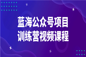 蓝海公众号项目训练营视频课程