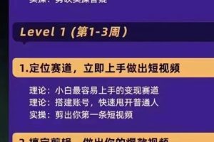 抖音变现实操训练营：0基础打造爆款500W+短视频（26节视频课）