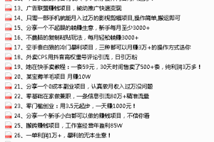 2022最新整理108个热门项目：日入580+月赚10W+精准落地，不割韭菜！