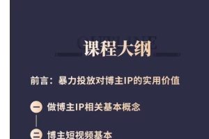 百万级抖+投手宝典：可复制的达人IP投放攻略