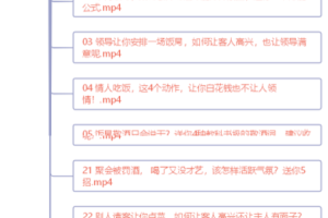 中国式饭局全攻略：23天让你从不善应酬混到风生水起