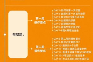 《新品打爆实战班》一套完整的实操实战落地方法，打爆链接超2000+（28节课)