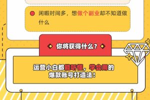 小红书个人爆款速成秘籍 教你从0-1打造有价值 能赚钱的账号（原价599）