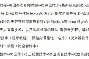 最新W,X技术2.0+最新S,F,B技术（全套课程）