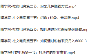 得法网赚：社交电商被动躺赚月入20000+