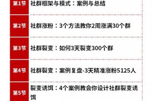 12节社群成交全攻略：从0到1快速引流变现，3天裂变300个群一晚成交103万