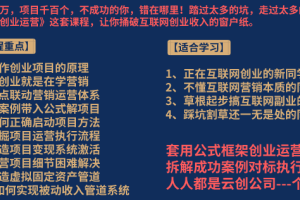 《套公式创业运营》捅破互联网创业收入窗户纸，让天下没有难做的副业