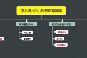 王半圈1小时深入浅出视频实操讲解，教你0基础学会写引流脚本