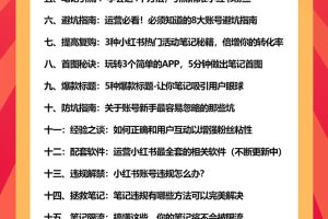 小红书爆款推广引流训练课7.0：一部手机即可操作玩转小红书引流赚钱