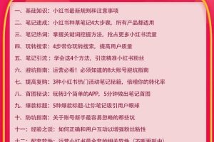 小红书爆款推广引流训练课9.0，手把手带你玩转小红书 一部手机即可月入万元