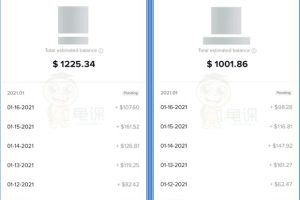 龟课·Tik Tok变现实战训练营线上第2期：日入上百+美刀 月收益上万不成问题