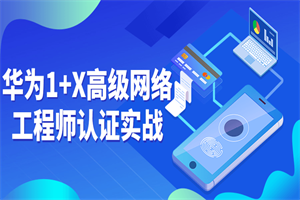 华为1+X高级网络工程师认证实战