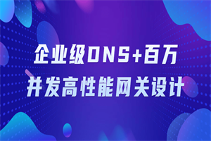 企业级DNS+百万并发高性能网关设计