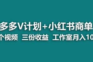 蓝海项目】多多v计划+小红书商单 一个视频三份收益 工作室月入10w打法