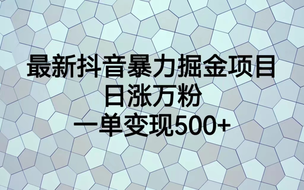 最火热的抖音暴力掘金项目，日涨万粉，多种变现方式，一单变现可达500+插图