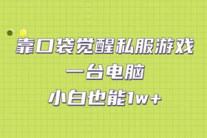 靠口袋觉醒私服游戏，一台电脑，小白也能1w+（教程+工具+资料）