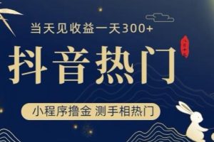 抖音最新小程序撸金，测手相上热门，当天见收益一小时变现300+【揭秘】