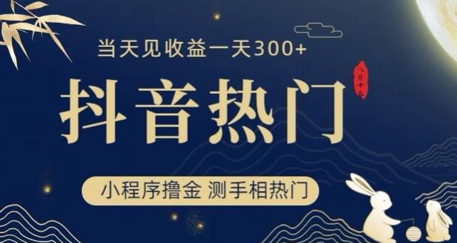 抖音最新小程序撸金，测手相上热门，当天见收益一小时变现300+【揭秘】插图