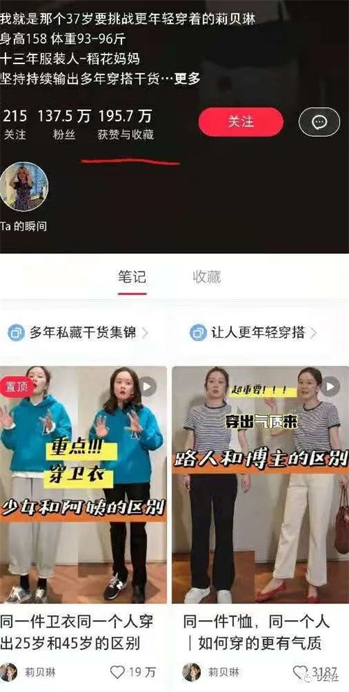 小红书自媒体流量变现项目介绍插图