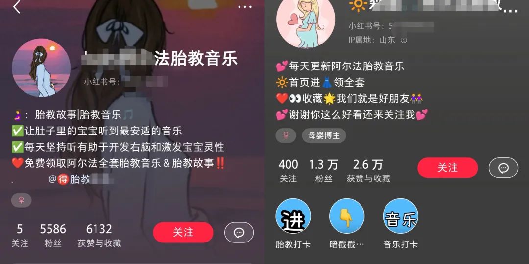 小红书胎教音乐副业项目私立，拉新+引流轻松搞定插图5