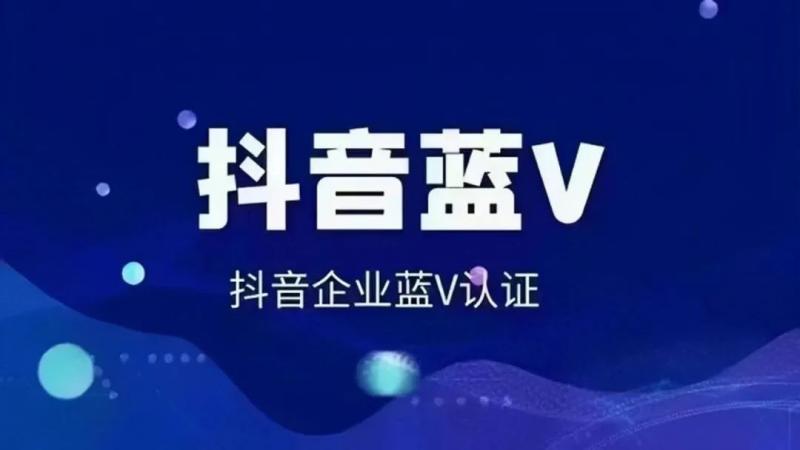 代办营业执照项目，暴利信息差，每单利润100-300+插图1