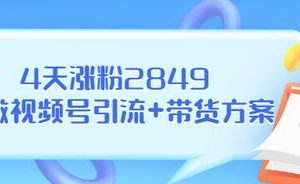 某公众号付费文章《4天涨粉2849，我做视频号引流+带货方案》