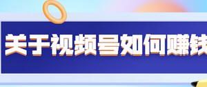 某公众号付费文章《关于视频号如何赚钱》适合中小视频博主施展拳脚