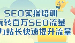 SEO实操培训：玩转百万SEO流量，助力站长快速提升流量（18节视频课）