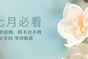 某公众号付费文章《七月必看：调整迟到，但不会不到》选好方向 等待收获