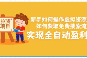 新手如何操作虚拟资源项目：如何获取免费搜索流量，实现全自动盈利