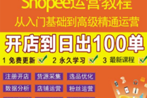 shopee运营教程：从入门基础到高级精通，开店到日出100单（全套课程）