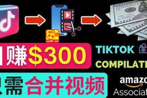 搬运Tiktok短视频到Youtube赚钱，只需下载，合并视频，日赚300美元