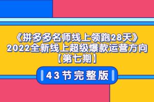 《拼多多名师线上领跑28天》2022全新线上超级爆款运营方向【第七期】43节课