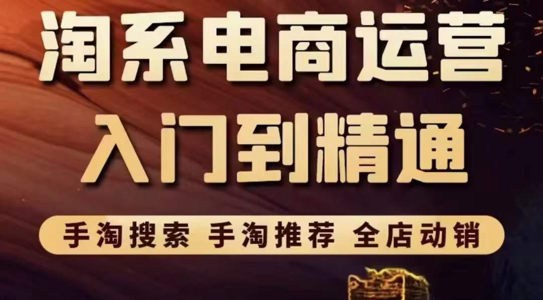 淘系电商入门到精通 手淘搜索，手淘推荐，全店动销 （价值1099元）插图