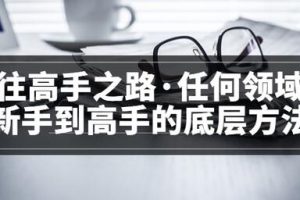 粥左罗lt;通往高手之路·任何领域从新手到高手的底层方法gt;完结