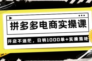 不灭《拼多多电商实操课》开店不迷茫，日销1000单+实操落地（价值299元）