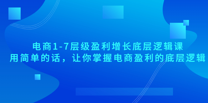 电商1-7层级盈利增长底层逻辑课：用简单的话，让你掌握电商盈利的底层逻辑插图