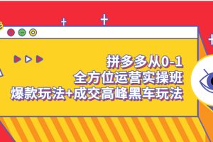 拼多多从0-1全方位运营实操班：爆款玩法+成交高峰黑车玩法（价值1280）