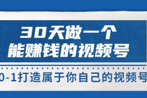 30天做一个能赚钱的视频号，从0-1打造属于你自己的视频号 (14节-价值199)